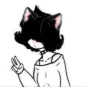 Meet your Posher, Ariel